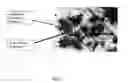 Fig. 02 - Galvanically-active in situ formed particles for controlled rate dissolving tools