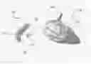 Fig. 01 - SWIMMING POOL TILE CLEANING DEVICE