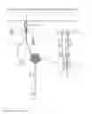 Fig. 02 - Lube and bleed casing adaptor