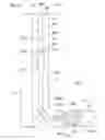 Fig. 07 - Apparatuses, systems, and methods for improving downhole separation of gases from liquids while producing reservoir fluid