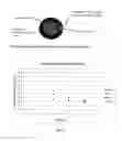 Fig. 07 - Method of Assuring Dissolution of Degradable Tools