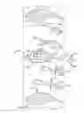 Fig. 01 - MULTIPLE TURBINE VANE FRAME