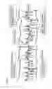 Fig. 04 - Internal combustion engine ignition apparatus