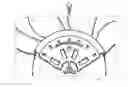 Fig. 01 - Axial Fan For A Cooling Fan Module