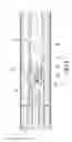 Fig. 07 - SELF-LOCKING SLIDING RAIL ASSEMBLY