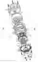 Fig. 02 - Solar array positioning actuator for spacecraft