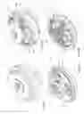 Fig. 03 - Variable speed-ratio transmission