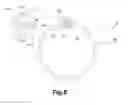 Fig. 10 - SEAL RING