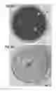 Fig. 06 - Lighting device or lamp with configurable beam angle and/or profile