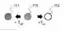Fig. 01 - Temperature sensing body