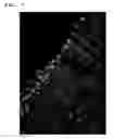 Fig. 06 - Composition for clearing of biotissue and clarity method for biotissue using thereof