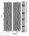 Fig. 09 - Detection and characterization of thin weak bedding planes in hydrocarbon-bearing laminated formations