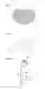 Fig. 04 - Inspecting condition of load bearing member