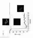 Fig. 06 - Simultaneous measurement of halide ion concentration and pH