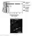 Fig. 03 - ASTROCYTE DIFFERENTIATION PROTOCOL