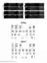 Fig. 16 - ASTROCYTE DIFFERENTIATION PROTOCOL