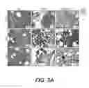 Fig. 07 - Prognostic method