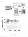Fig. 02 - Methods and compositions relating to proteasome inhibitor resistance