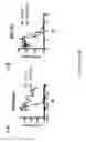 Fig. 44 - Methods and compositions relating to proteasome inhibitor resistance
