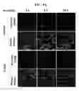 Fig. 43 - METHODS FOR PREDICTING CANCER PATIENT'S CLINICAL RESPONSE TO ANTI-CANCER COMPOUNDS