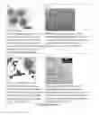 Fig. 03 - Magnetic nanocompositions for highly sensitive molecular and cellular enrichment, purification and detection