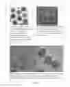 Fig. 04 - Magnetic nanocompositions for highly sensitive molecular and cellular enrichment, purification and detection