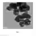 Fig. 08 - Magnetic nanocompositions for highly sensitive molecular and cellular enrichment, purification and detection