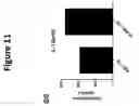 Fig. 20 - Blood preparation and profiling