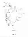 Fig. 04 - SANDWICH ASSAY FOR SMALL MOLECULES