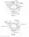 Fig. 16 - Systems, devices, and methods for ultra-sensitive detection of molecules or particles