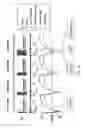 Fig. 44 - Low-rank tensor imaging for multidimensional cardiovascular MRI