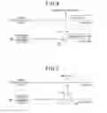 Fig. 03 - Object notification apparatus
