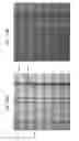 Fig. 45 - System and method for estimating the position and orientation of a mobile communications device in a beacon-based positioning system