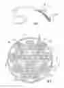 Fig. 02 - Optical fiber bundle
