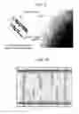 Fig. 09 - Liquid crystal display element