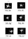 Fig. 09 - Gesture recognition