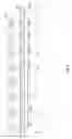 Fig. 15 - System and method to composita ZUI motion picture presentation and physical scene motion picture presentation