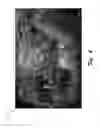 Fig. 05 - Dynamic thumbnails