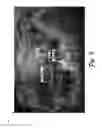 Fig. 06 - Dynamic thumbnails