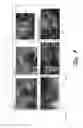 Fig. 08 - Dynamic thumbnails