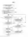 Fig. 07 - Image processing apparatuses and an external server configured in a case image information in an unsupported format is not supported, controls so as to perform conversion of the unsupported format