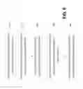 Fig. 07 - Self-adaptive continuous flushing of pages to disk