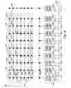 Fig. 07 - Storing data elements of different lengths in respective adjacent rows or columns according to memory shapes