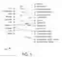 Fig. 05 - Reducing query ambiguity using graph matching