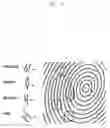 Fig. 02 - Method and apparatus for performing authentication based on biometric information