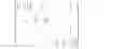 Fig. 02 - System for detecting salient objects in images