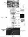 Fig. 06 - System for detecting salient objects in images