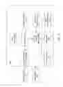 Fig. 04 - Two-phase distributed neural network training system