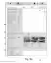 Fig. 09 - Selecting a window treatment fabric