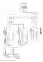 Fig. 10 - Cognitive search operation